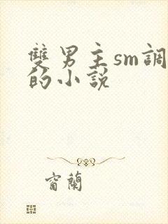 双男主sm调教的小说
