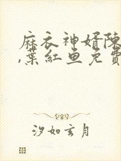 麻衣神婿陈黄皮,叶红鱼免费听书