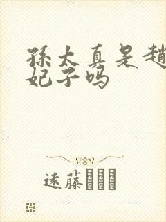孙太真是赵匡胤妃子吗