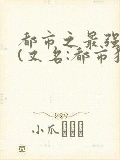 都市之最强狂兵(又名:都市狂枭) 大红大紫