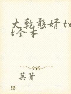 大乾憨婿 txt全本