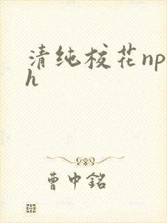 清纯校花np高h