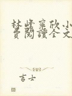 林峰宁欣小说免费阅读全文最新章节笔趣阁