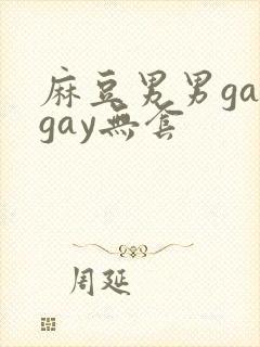 麻豆男男gaygay无套