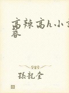 高辣高h小说黄蓉