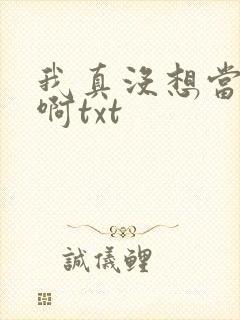我真没想当皇帝啊txt