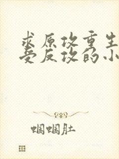 求原攻重生被原受反攻的小说
