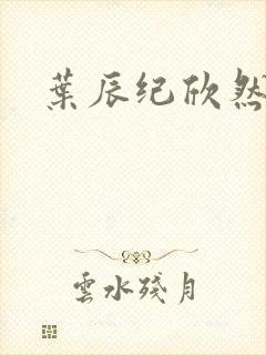 叶辰纪欣然叶尘