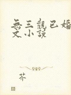 无三观已婚出轨文小说
