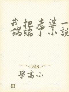 我把老婆一家一锅端了小说封面