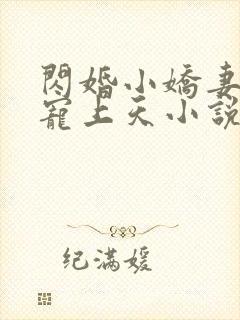 闪婚小娇妻大叔宠上天小说全文免费阅读