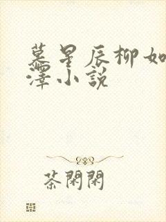 慕星辰柳如烟陈泽小说