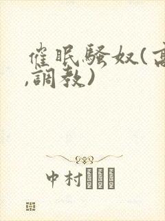 催眠骚奴(高h,调教)
