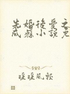 先婚后爱之宠妻成瘾小说免费阅读