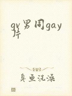 gv男同gay片