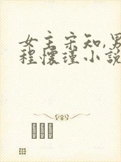 女主宋知,男主程怀瑾小说封面