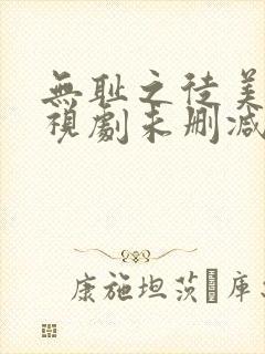 无耻之徒美版电视剧未删减
