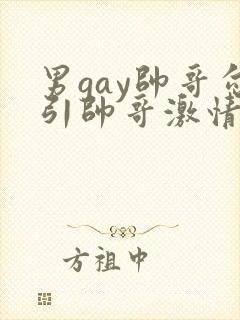 男gay帅哥勾引帅哥激情视频