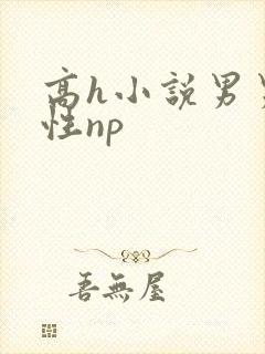 高h小说男男双性np