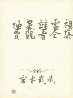 他是谁电视剧免费观看全集完整版封面