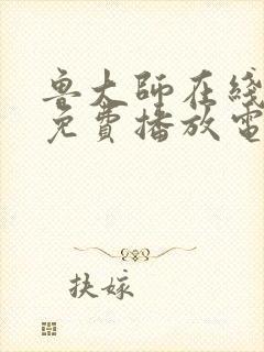 鲁大师在线观看免费播放电视剧大全