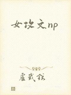 女攻文np