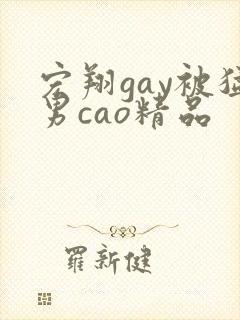 宏翔gay被猛男cao精品封面