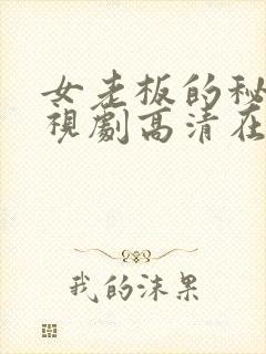 女老板的秘密电视剧高清在线播放