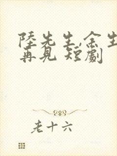 陆先生,余生不再见 短剧