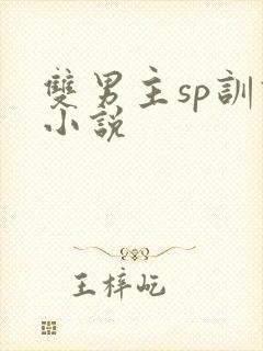 双男主sp训诫小说