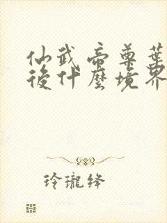 仙武帝尊叶辰最后什么境界