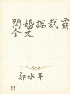 闪婚总裁霸道宠全文