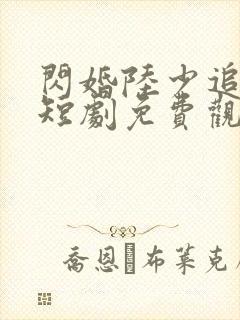 闪婚陆少追妻儿短剧免费观看下载