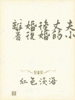 离婚后丈夫哭求着复婚的小说封面