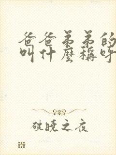 爸爸弟弟的老婆叫什么称呼正式封面
