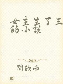 女主生了三胞胎的小说