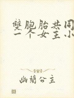 双胞胎共同享有一个女主小说