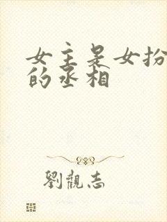 女主是女扮男装的丞相