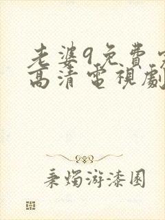 老婆9免费完整高清电视剧在线