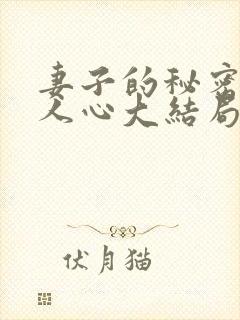 妻子的秘密莫是人心大结局封面
