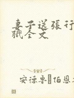 妻子送张行长升职全文