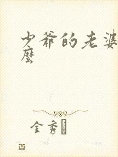 少爷的老婆叫什么