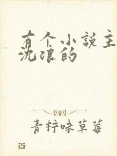 有个小说主角叫沈浪的