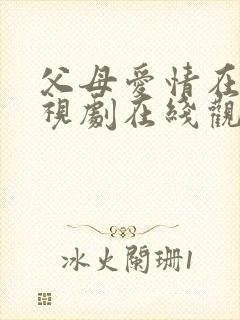 父母爱情在线电视剧在线观看全集