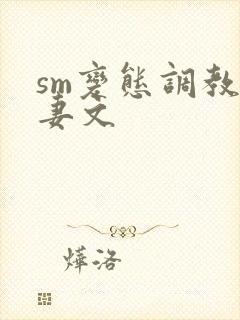 sm变态调教人妻文封面