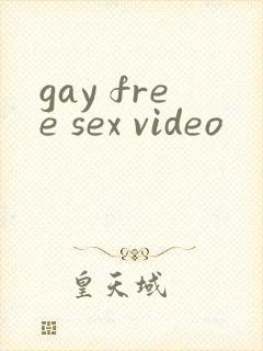 gay free sex video