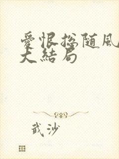 爱恨总随风后续大结局