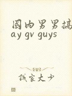 国内男男搞基gay gv guys