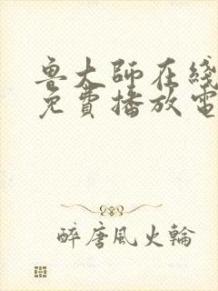 鲁大师在线观看免费播放电视剧最新
