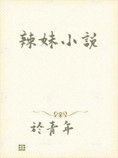 辣妹小说